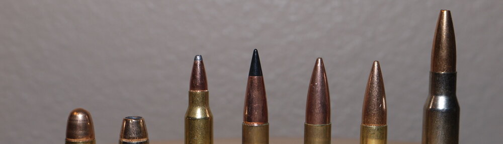 revolutionary self-defense arms weapons bullets
