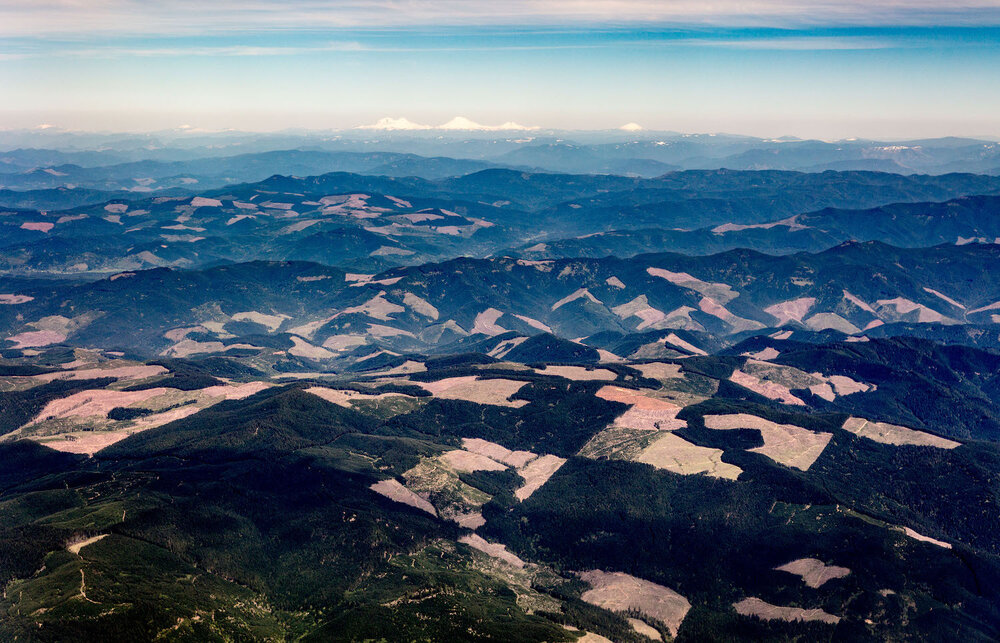 29881584230_92e0b5b56e_o