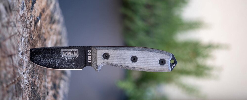 Outdoor Skills Workshop DGR Eugene